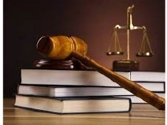 Giới thiệu Công ty Năm Châu - đối tác pháp lý tin cậy